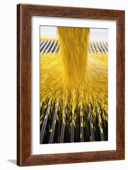 Corn Ethanol Processing Plant-David Nunuk-Framed Photographic Print