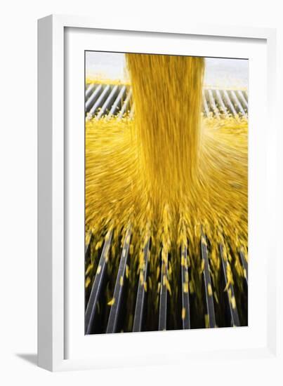 Corn Ethanol Processing Plant-David Nunuk-Framed Photographic Print