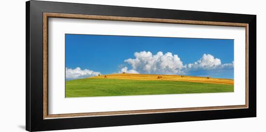 Corn field harvested, Tuscany, Italy-Frank Krahmer-Framed Art Print