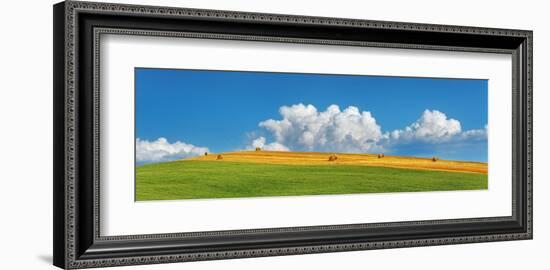 Corn field harvested, Tuscany, Italy-Frank Krahmer-Framed Art Print