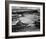 Corn Field, Indian Farm near Tuba City, Arizona, in Rain, 1941-Ansel Adams-Framed Art Print