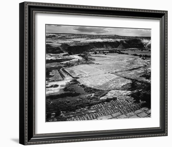 Corn Field, Indian Farm near Tuba City, Arizona, in Rain, 1941-Ansel Adams-Framed Art Print