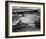 Corn Field, Indian Farm near Tuba City, Arizona, in Rain, 1941-Ansel Adams-Framed Art Print