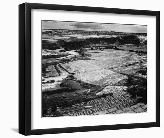 Corn Field, Indian Farm near Tuba City, Arizona, in Rain, 1941-Ansel Adams-Framed Art Print