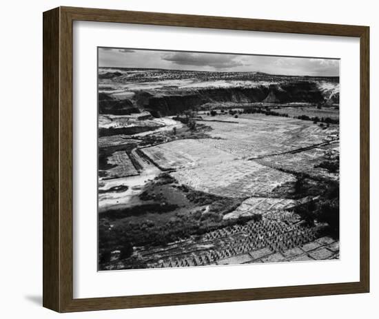 Corn Field, Indian Farm near Tuba City, Arizona, in Rain, 1941-Ansel Adams-Framed Art Print