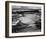 Corn Field, Indian Farm near Tuba City, Arizona, in Rain, 1941-Ansel Adams-Framed Art Print