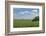 Corn Field, Nebraska, USA-Michael Scheufler-Framed Photographic Print