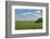 Corn Field, Nebraska, USA-Michael Scheufler-Framed Photographic Print