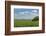 Corn Field, Nebraska, USA-Michael Scheufler-Framed Photographic Print