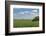 Corn Field, Nebraska, USA-Michael Scheufler-Framed Photographic Print