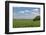 Corn Field, Nebraska, USA-Michael Scheufler-Framed Photographic Print