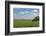 Corn Field, Nebraska, USA-Michael Scheufler-Framed Photographic Print