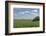 Corn Field, Nebraska, USA-Michael Scheufler-Framed Photographic Print