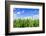 Corn Field-Liang Zhang-Framed Photographic Print