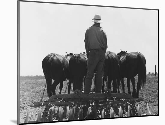 Corn Fields in California-Dorothea Lange-Mounted Giclee Print