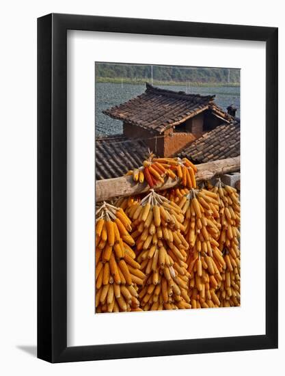 Corn Hanging to Dry in Old Farm House, China Kunming District-Darrell Gulin-Framed Photographic Print