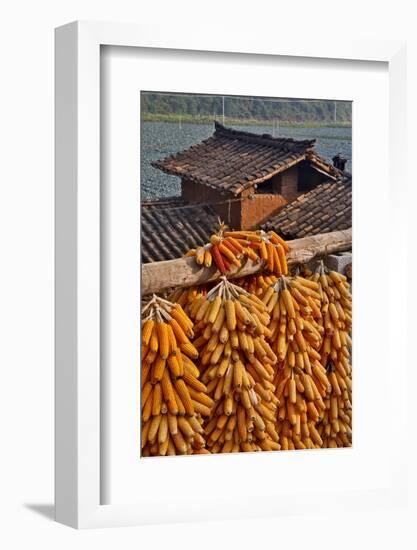 Corn Hanging to Dry in Old Farm House, China Kunming District-Darrell Gulin-Framed Photographic Print