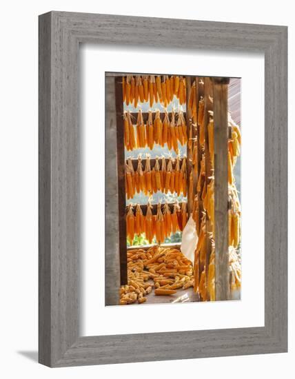 Corn Hung to Dry, Rize, Black Sea Region of Turkey-Ali Kabas-Framed Photographic Print