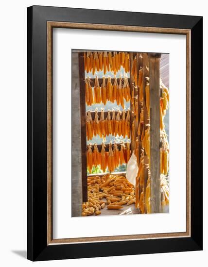 Corn Hung to Dry, Rize, Black Sea Region of Turkey-Ali Kabas-Framed Photographic Print