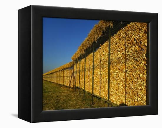 Corn in a Storage, Loire Valley, France-Michael Busselle-Framed Premier Image Canvas