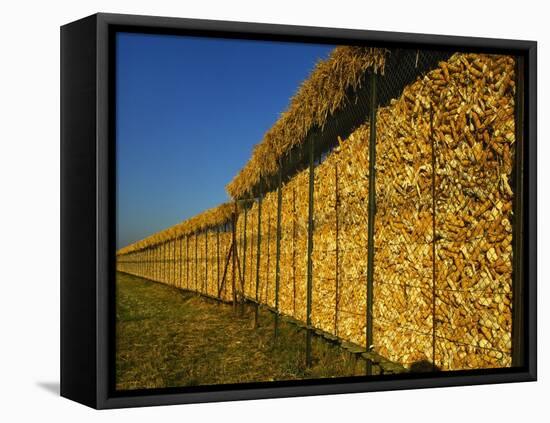 Corn in a Storage, Loire Valley, France-Michael Busselle-Framed Premier Image Canvas