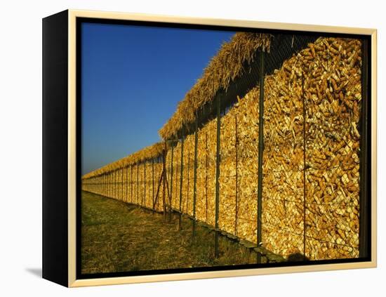 Corn in a Storage, Loire Valley, France-Michael Busselle-Framed Premier Image Canvas