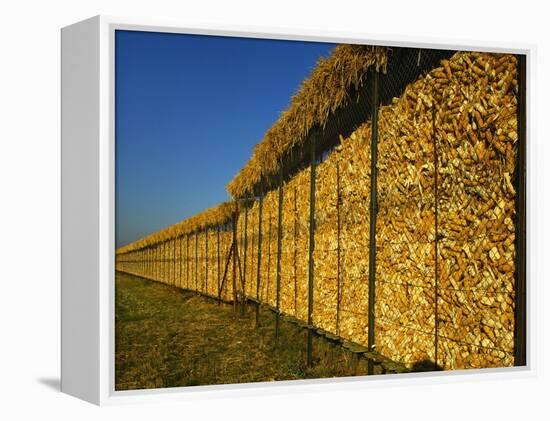 Corn in a Storage, Loire Valley, France-Michael Busselle-Framed Premier Image Canvas