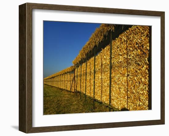 Corn in a Storage, Loire Valley, France-Michael Busselle-Framed Photographic Print