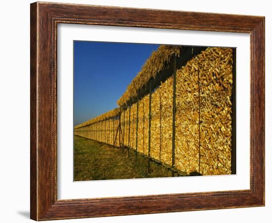 Corn in a Storage, Loire Valley, France-Michael Busselle-Framed Photographic Print