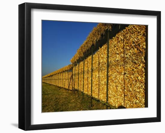 Corn in a Storage, Loire Valley, France-Michael Busselle-Framed Photographic Print