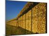 Corn in a Storage, Loire Valley, France-Michael Busselle-Mounted Photographic Print