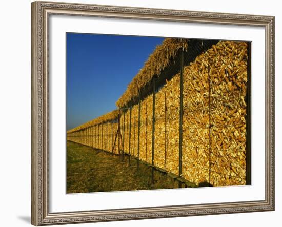 Corn in a Storage, Loire Valley, France-Michael Busselle-Framed Photographic Print