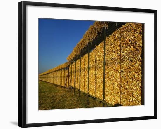 Corn in a Storage, Loire Valley, France-Michael Busselle-Framed Photographic Print