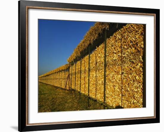 Corn in a Storage, Loire Valley, France-Michael Busselle-Framed Photographic Print