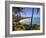 Corn Islands, Little Corn Island, Coral and Iguana Beach, Nicaragua-Jane Sweeney-Framed Photographic Print