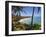 Corn Islands, Little Corn Island, Coral and Iguana Beach, Nicaragua-Jane Sweeney-Framed Photographic Print