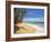 Corn Islands, Little Corn Island, Garret Point, Nicaragua-Jane Sweeney-Framed Photographic Print