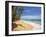 Corn Islands, Little Corn Island, Garret Point, Nicaragua-Jane Sweeney-Framed Photographic Print