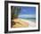 Corn Islands, Little Corn Island, Garret Point, Nicaragua-Jane Sweeney-Framed Photographic Print