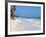 Corn Islands, Little Corn Island, Iguana Beach, Nicaragua-Jane Sweeney-Framed Photographic Print