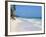 Corn Islands, Little Corn Island, Iguana Beach, Nicaragua-Jane Sweeney-Framed Photographic Print