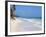 Corn Islands, Little Corn Island, Iguana Beach, Nicaragua-Jane Sweeney-Framed Photographic Print