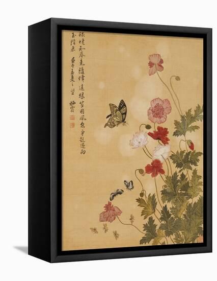 Corn Poppy and Butterflies, 1702-Ma Yuanyu-Framed Premier Image Canvas