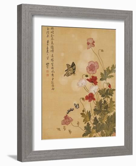 Corn Poppy and Butterflies, 1702-Ma Yuanyu-Framed Giclee Print