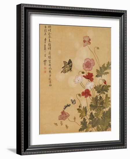 Corn Poppy and Butterflies, 1702-Ma Yuanyu-Framed Giclee Print