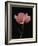 Corn Poppy-Graeme Harris-Framed Photographic Print