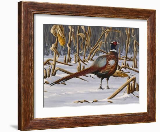 Corn Row Ringneck-Wilhelm Goebel-Framed Giclee Print