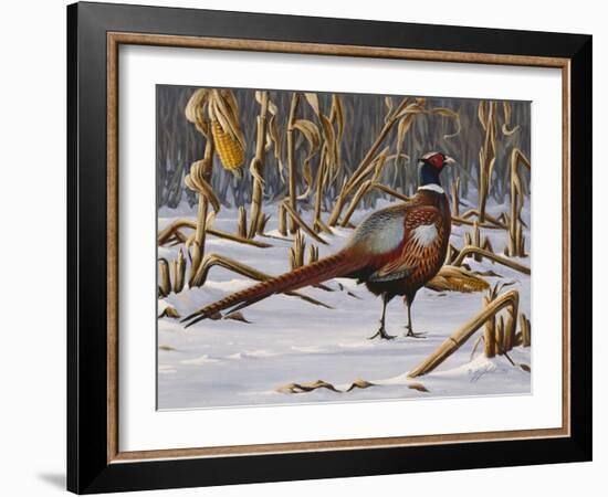 Corn Row Ringneck-Wilhelm Goebel-Framed Giclee Print