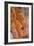 Corn Snake-null-Framed Photographic Print