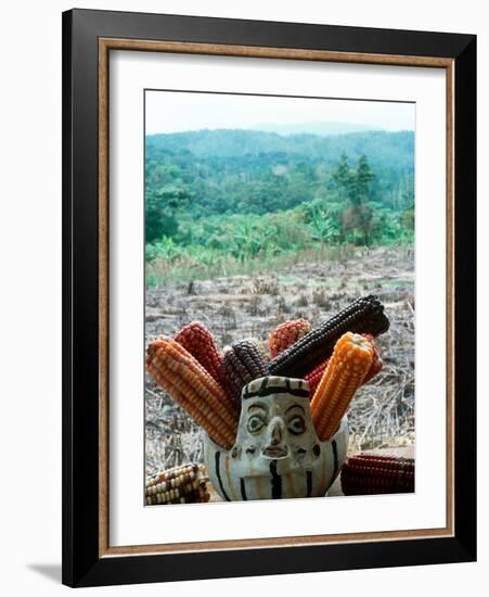 Corn That Lacandons Grow in Milpas, Selva Lacandona, Metzabok, Chiapas, Mexico-Russell Gordon-Framed Photographic Print